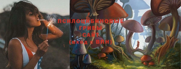 твердый Белоозёрский