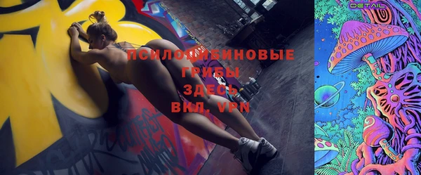 кокс Белокуриха