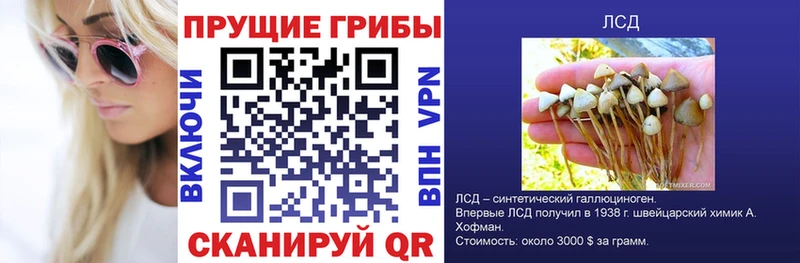 Галлюциногенные грибы MAGIC MUSHROOMS  Бежецк 
