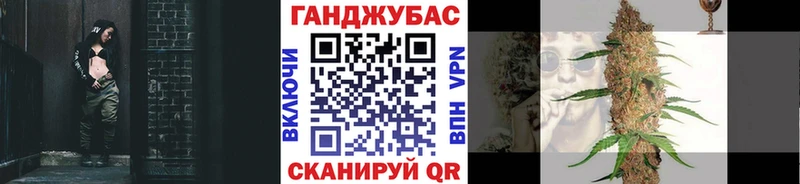 Бошки Шишки SATIVA & INDICA  как найти закладки  Бежецк 